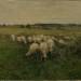 Sheep Grazing in an Open Field